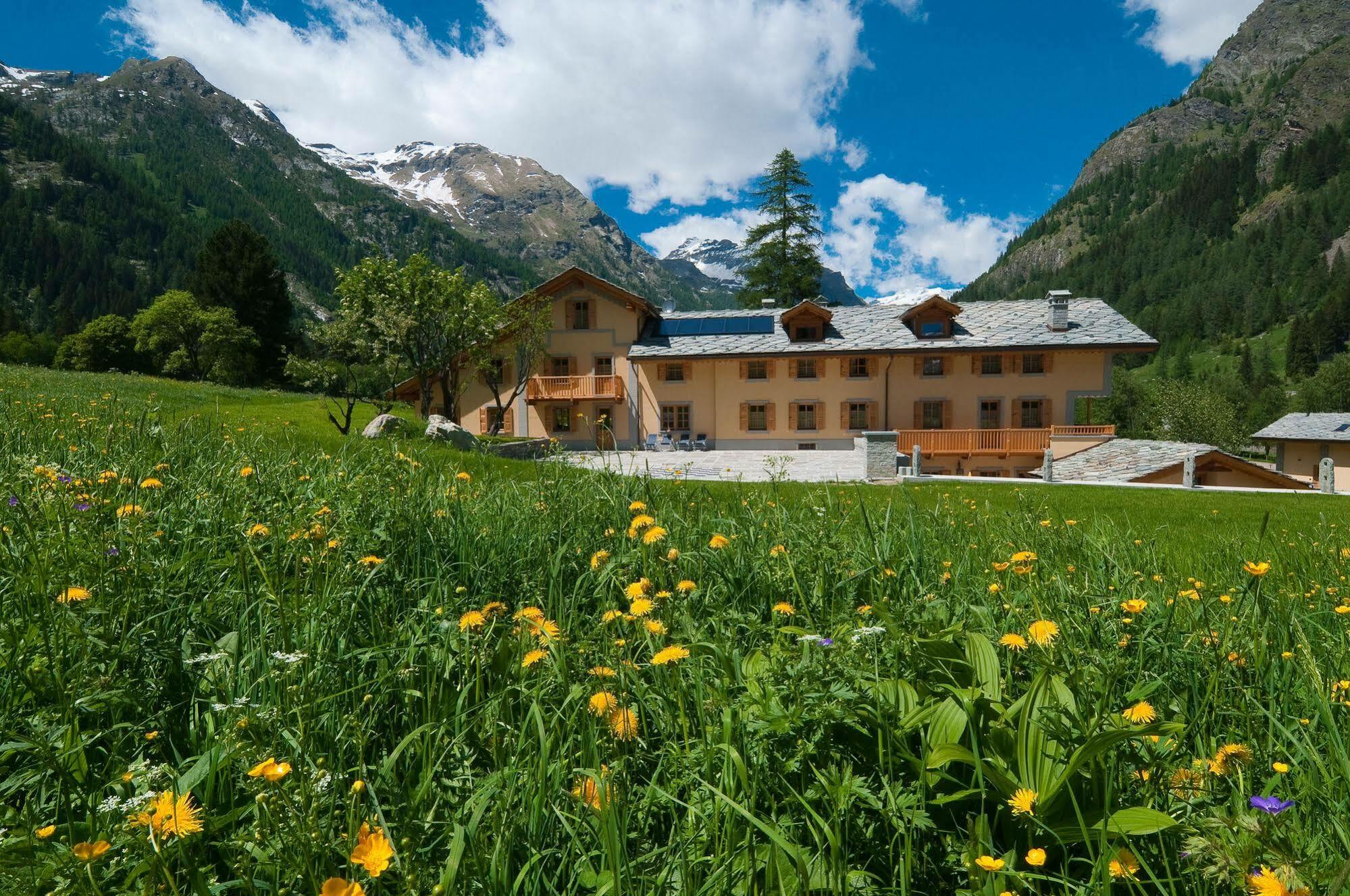 Villa Fridau Resort Gressoney-Saint-Jean Exterior foto